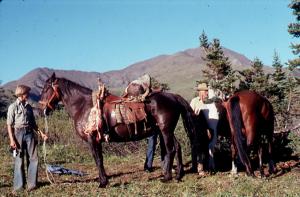 My younger brother Charles Widrig (about 13)  holding a horse loaded with sheep meat, 1977. 